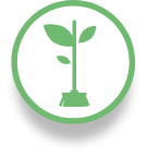 Logo écologique